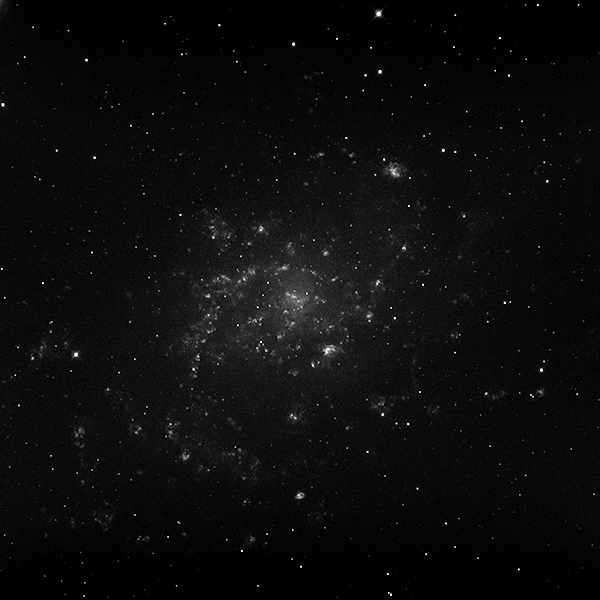 M33_Halpha_600