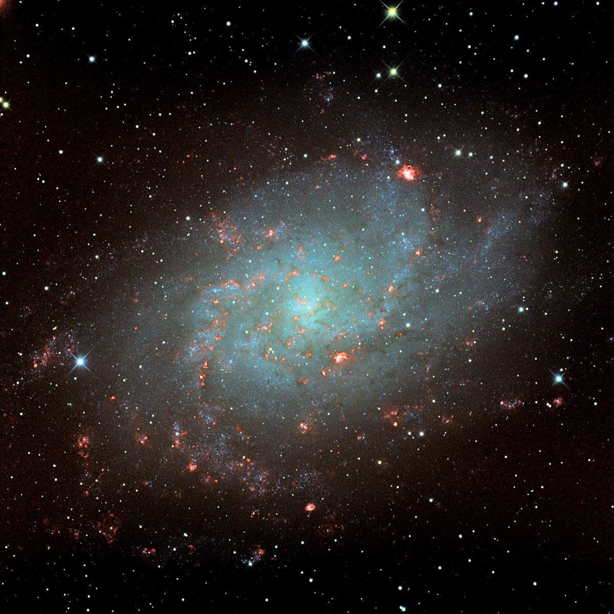 M33 in color and H-alpha